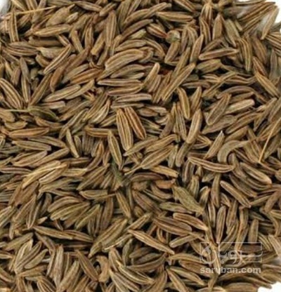 فروش زیره سیاه