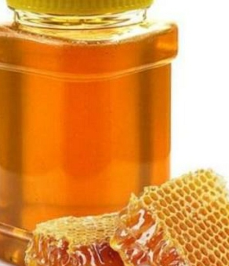 فروش عسل تغذیه