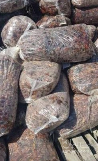 فروش خرما ضایعاتی