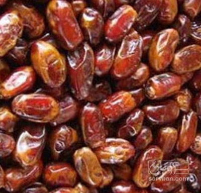 فروش خرما شاهانی