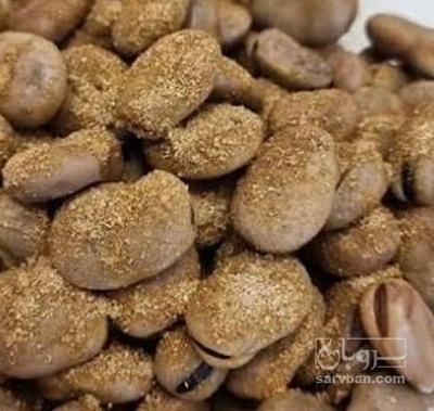 فروش باقلا خشک