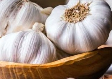 فروش سیر