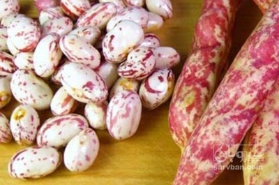 فروش لوبیا چیتی