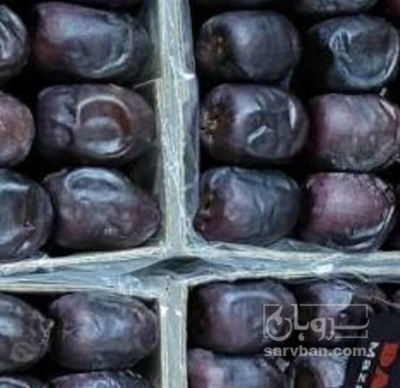 فروش خرما مضافتی