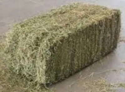 فروش یونجه