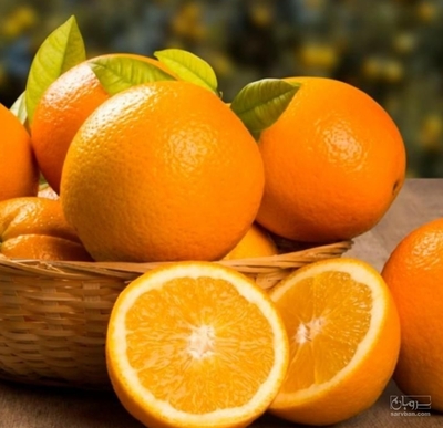 فروش پرتقال