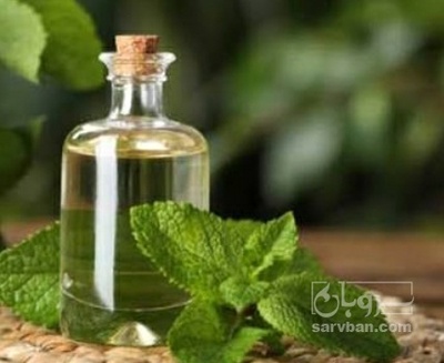 فروش عرق نعناع
