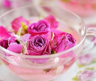 فروش غنچه گل محمدی (گیاه‌ دارویی)