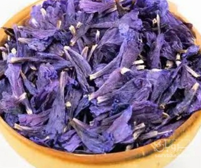 فروش گل گاو زبان - گاوزبان (گیاه‌ دارویی)