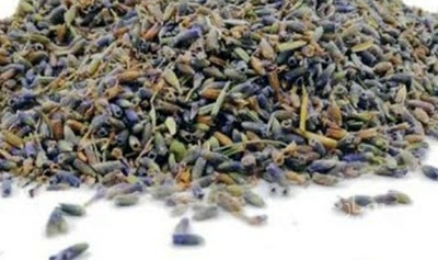 فروش اسطوخودوس (گیاه‌ دارویی)