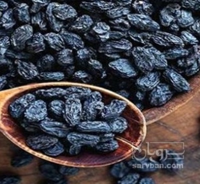 فروش مویز