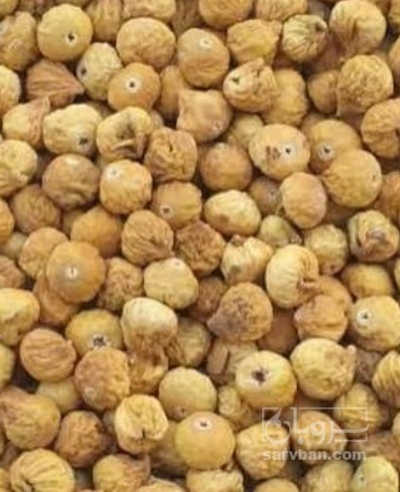 فروش انجیر خشک