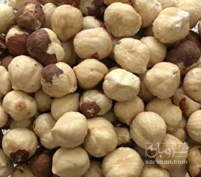 فروش مغزفندق