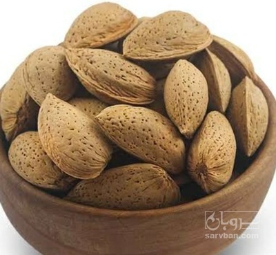 فروش بادام