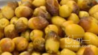فروش رطب