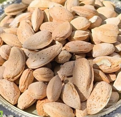 فروش بادام