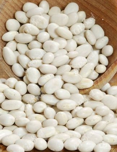 فروش لوبیا سفید