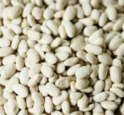 فروش لوبیا سفید