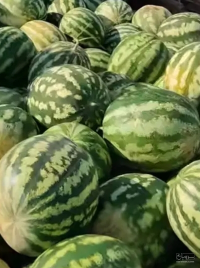 فروش هندوانه