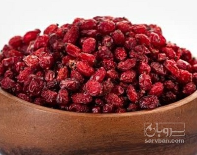 فروش زرشک