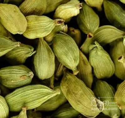 فروش هل (گیاه‌ دارویی)