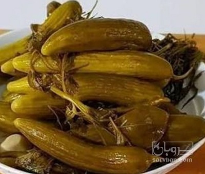 فروش خیار شور ممتاز