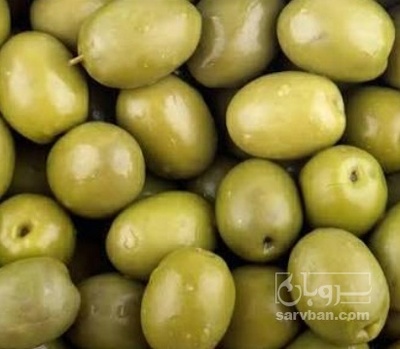 فروش زیتون جنگلی