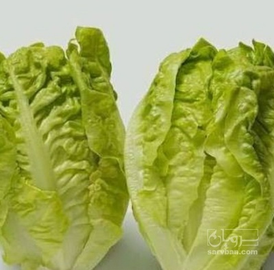 فروش لیتل جم سبز