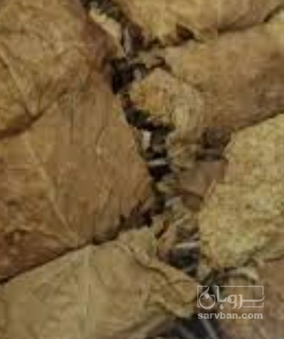 فروش تنباکو  دو مزه بنیاد