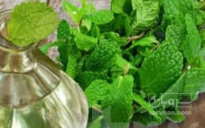 فروش عرق نعناع