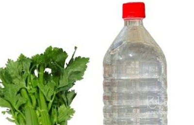 فروش عرق کرفس