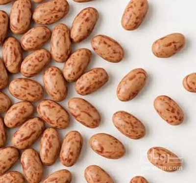 فروش لوبیا چیتی