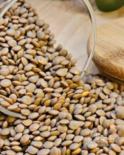 فروش عدس