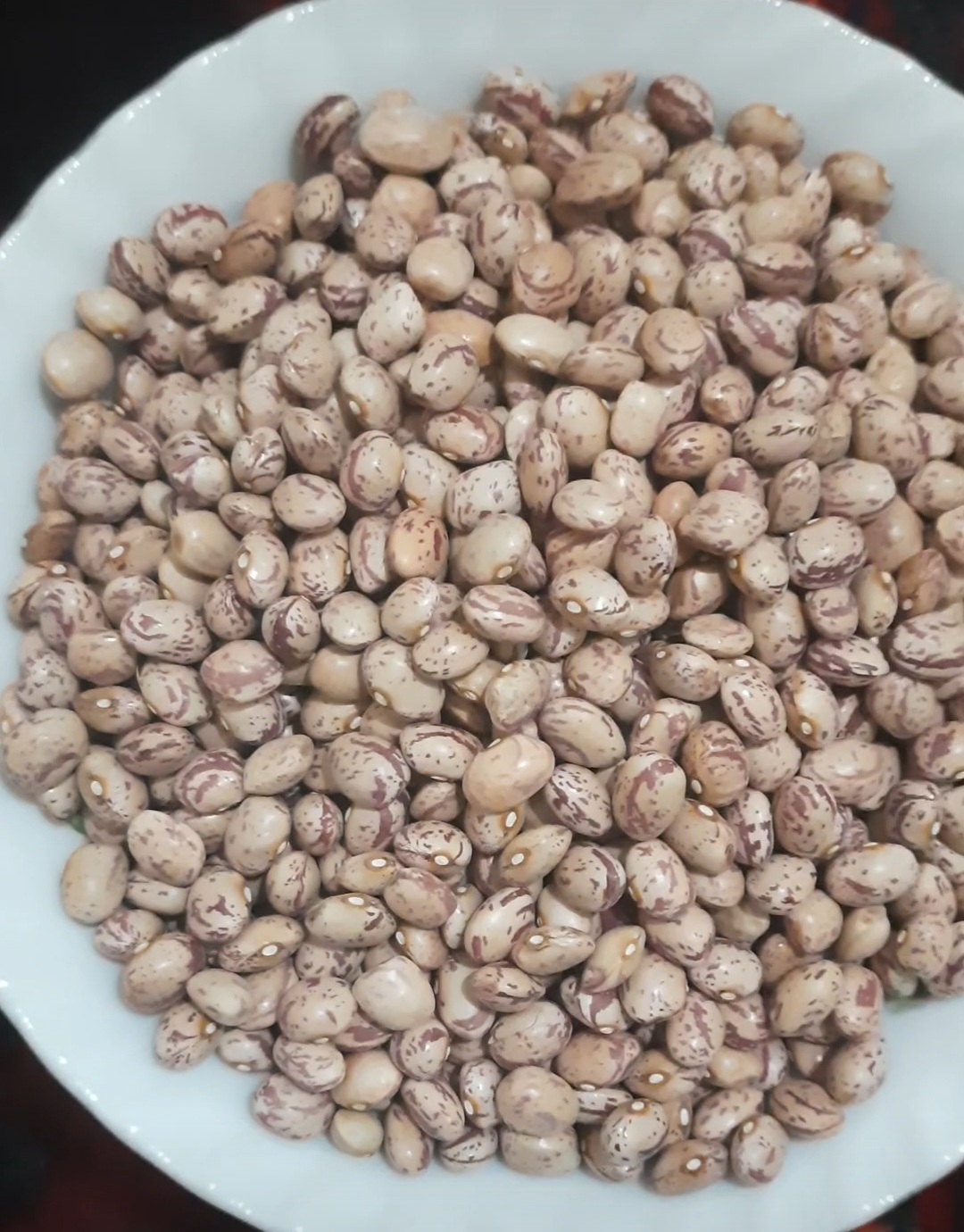 فروش لوبیا چیتی