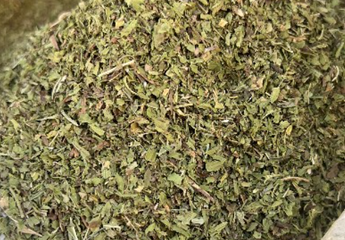 فروش نعناع خشک (گیاه‌ دارویی)