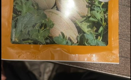 فروش بذر ملون