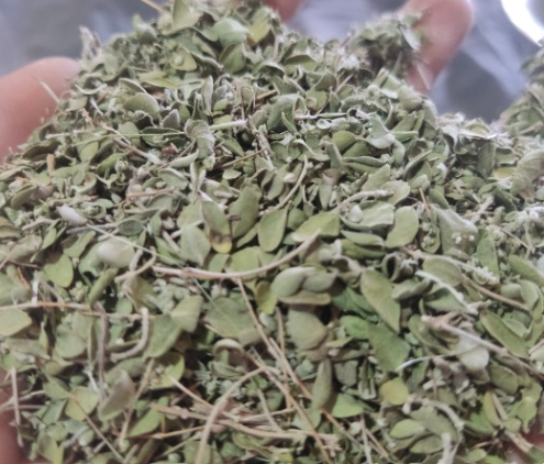 فروش آویشن خشک (گیاه‌ دارویی)