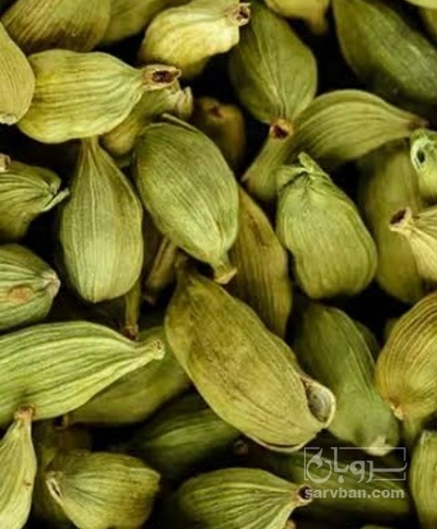 فروش هل (گیاه‌ دارویی)