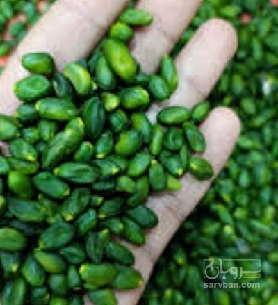 فروش مغز  دو پوست پسته