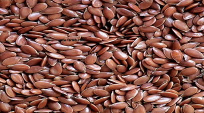 فروش کتان (گیاه الیافی)