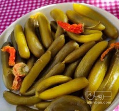 فروش خیار شور ویژه
