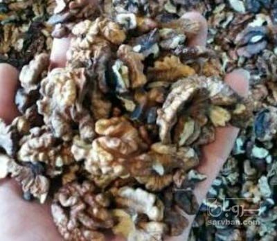 فروش گردو خورشتی