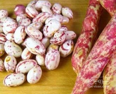 فروش لوبیا چیتی