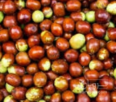 فروش عناب