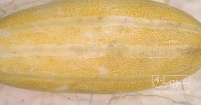 فروش خربزه مشهدی
