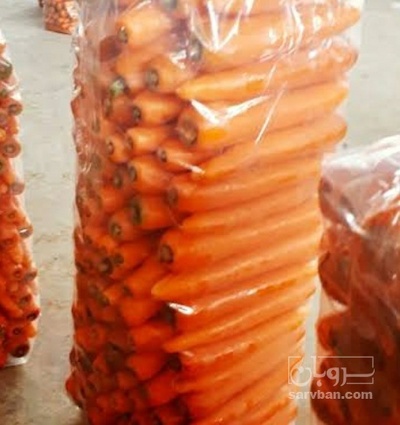 فروش هویج