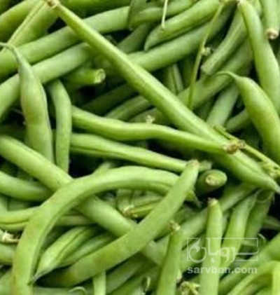 فروش لوبیا سبز