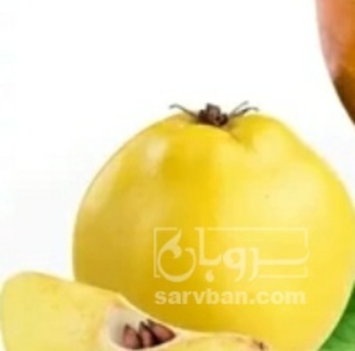 فروش به میوه