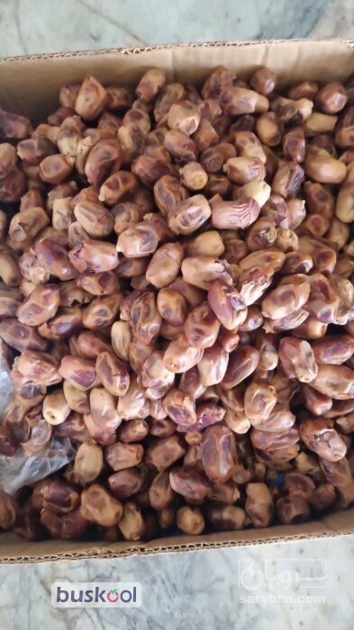 فروش خرما