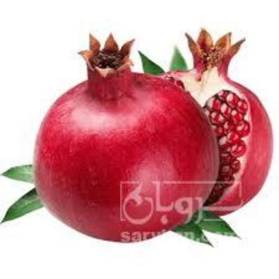 فروش انار